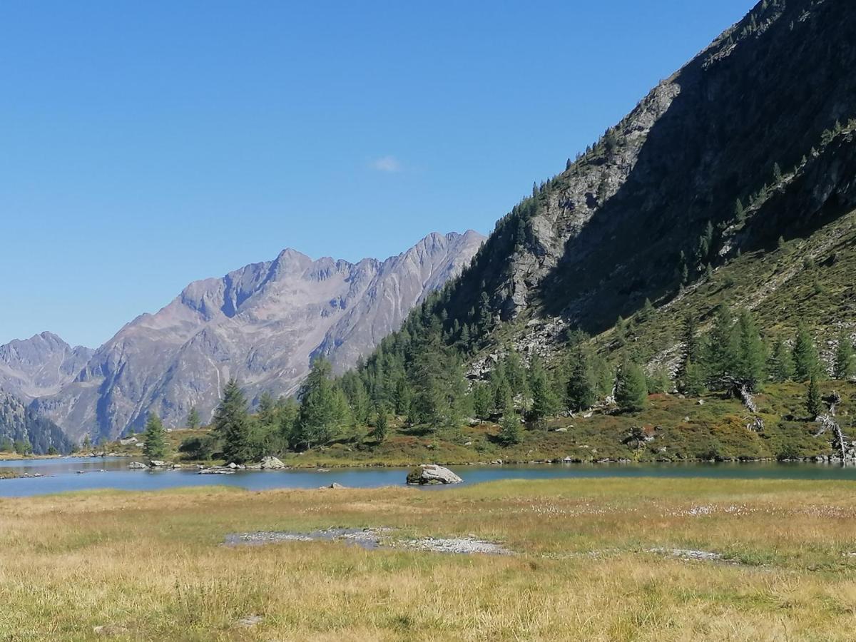 Fanningerwirt Holzer Daire Mariapfarr Dış mekan fotoğraf